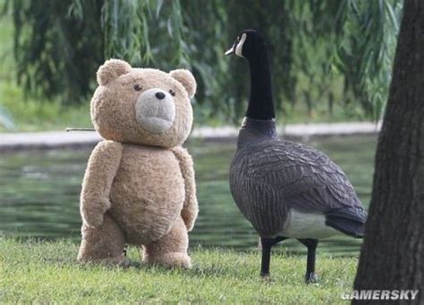 《泰迪熊2（Ted2）》剧照曝光 贱熊跨种族搞鸭子？ _ 游民星空 GamerSky.com