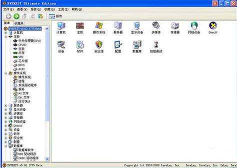 everest中文版下载-everest(硬件检测工具)下载v5.51 汉化版-旋风软件园