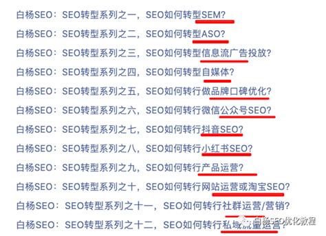白杨SEO：SEO还有前途吗？只做百度SEO还行吗？SEO如何转型及转行方向有哪些？