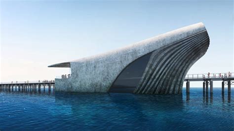 BIM建筑|巴卡建筑工作室设计“鲸鱼”形海洋观测站-BIM建筑网