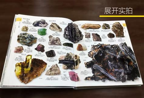 中国科学技术出版社少儿读物怎么样 DK博物大百科，自然界的视觉盛宴_什么值得买