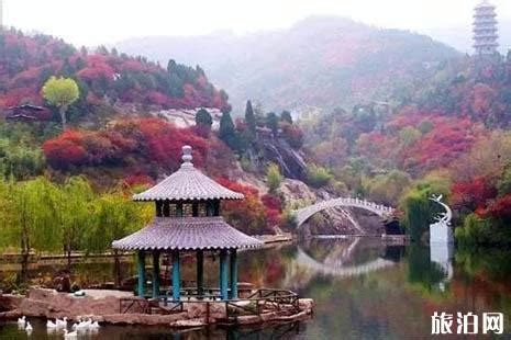 有一种美景叫济南的秋天_图片新闻_鲁中传媒网