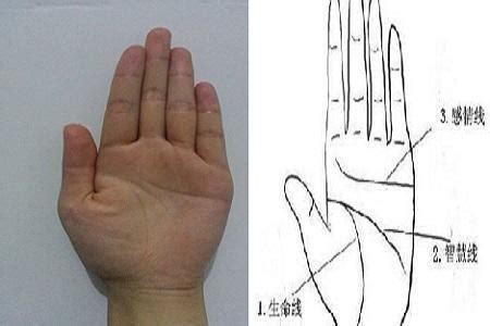 如何看手相知生育能力 如何看手相知健康-周易算命网