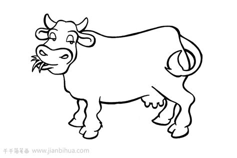 动物简笔画大全:牛的简笔画