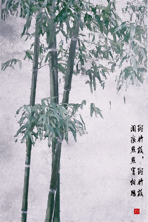 一棵竹子的故事,竹子的启示作文,关于竹子的寓言故事_大山谷图库