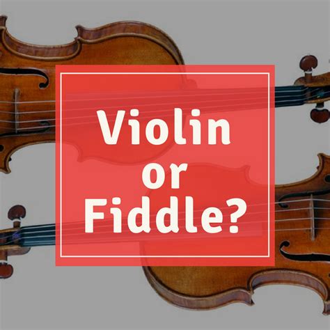Fiddle or Violin? 此小提琴非彼小提琴? - 知乎
