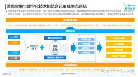 中国普惠小微金融发展报告(2020)-零壹智库Pro