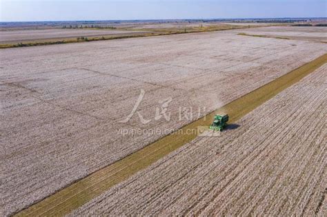 新疆昌吉：播种棉花_中国农科新闻网