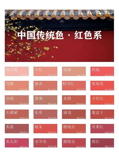 military-tribunal 的图像结果