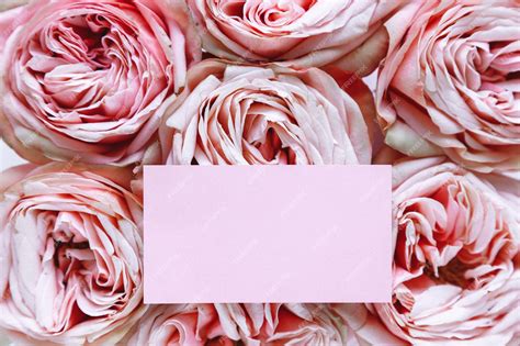 Текстура розовых бутонов роз, плотно сложенных фоном с розовой бумажной ...