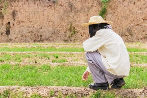 农民种地白天室外女士户外农田种地摄影图配图高清摄影大图-千库网