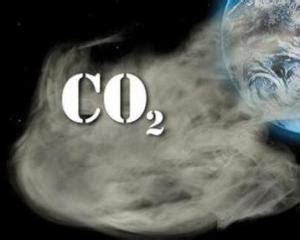地球上的碳是怎样循环的 - 气体汇