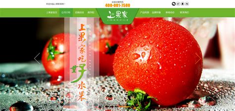 热烈庆祝湖南上果家商业管理有限公司网站正式上线！！！-最新 ...