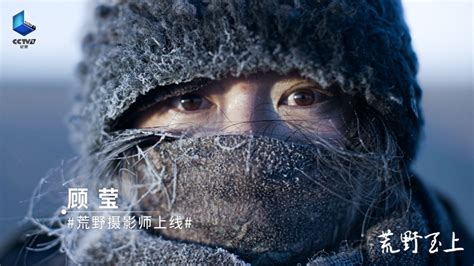 纪录片《荒野至上》：六位中国顶尖野生动物摄影师的荒野故事_有戏_澎湃新闻-The Paper