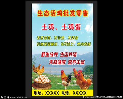 首届海南鸡饭节在海口骑楼老街拉开帷幕