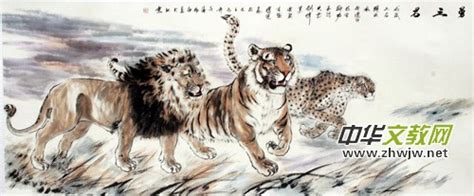 狮虎豹,狮虎豹三兄弟,狮虎豹杂志_大山谷图库