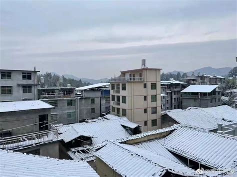 贵州这里下雪了！多地发布预警！贵阳市教育局：如遇极端天气，可调整上下学时间或停课！|寒潮|下雪|贵州省_新浪新闻