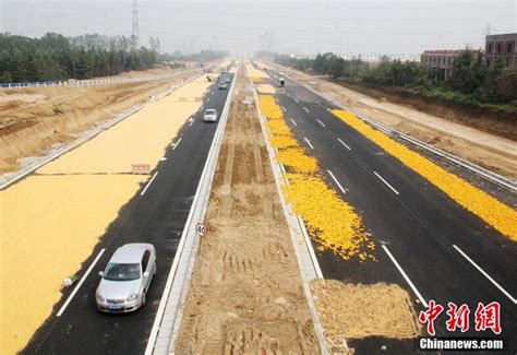 通了！河百高速公路11月28日正式开通！_河池
