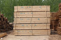 工程木方的规格及长度是多少-日照市万森木业有限公司
