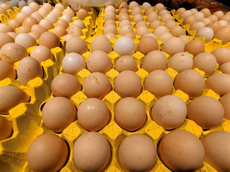 鸡蛋多少钱一斤？鸡蛋期货行情怎么样？鸡蛋最新价格 -中华网河南