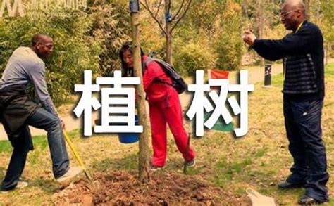 植树补绿、挂牌认领，“共享花园”迎来新主人_长江云 - 湖北网络广播电视台官方网站