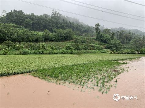 四川内江遭遇大暴雨 河水暴涨房倒桥塌-天气图集-中国天气网