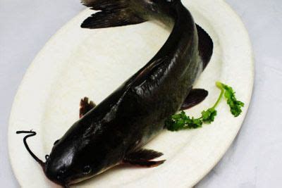 乌鲁木齐有个吃鱼地方：“灶品”的乌苏里江野生鱼