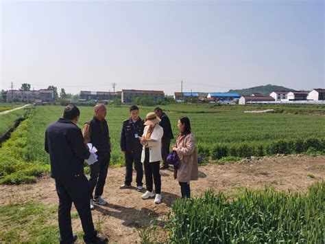 市种子管理站到来安县开展农作物种子制种基地专项检查_滁州市农业农村局