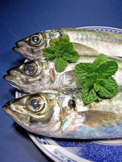 鲐鱼、鲅鱼、挪威青花鱼：如何分辨哪些是网红鲭鱼？|大西洋|鲭|鲭鱼_新浪网