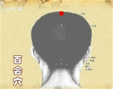 百会的准确位置图图片