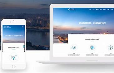 阳江专业网站优化运营 的图像结果
