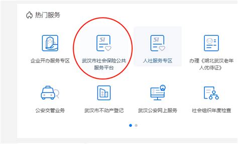 武汉市社保个人账户查询_社保查询服务平台