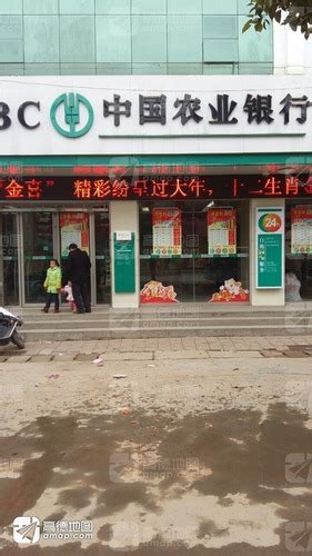 随县殷店镇举行第三届民间茶花节-随州市人民政府门户网站