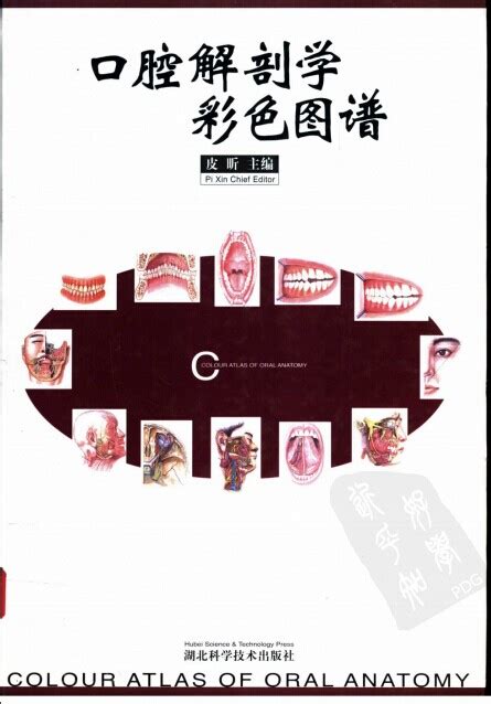 口腔海报CDR广告设计素材海报模板免费下载-享设计