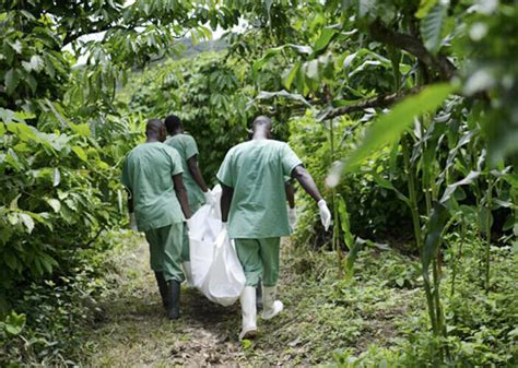 什么是埃博拉病毒 如何防范埃博拉病毒_济南齐鲁花园医院