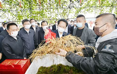 吉林·通化2022年中国农民丰收节活动举行 松花江网
