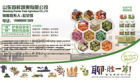 水果蔬菜超市标志超市logo_蛙客网viwik.com