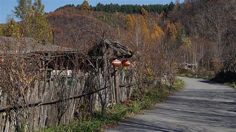 吉林省通化县：建设全产业链，“百草之王”实现嬗变 | 全产业链典型县 - 南方农村报官网