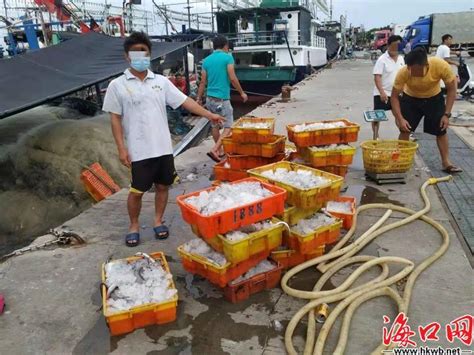 今年南海伏季休渔期 海南海警侦办18起非法捕捞水产品案凤凰网海南_凤凰网