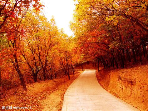 中国最美的秋天在哪里？ - 知乎