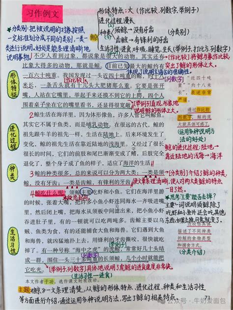 圣瓦伦丁 的图像结果