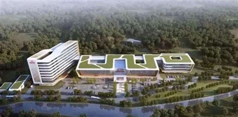肇庆市体育中心升级改造项目_广州恒诺造价师事务所有限公司