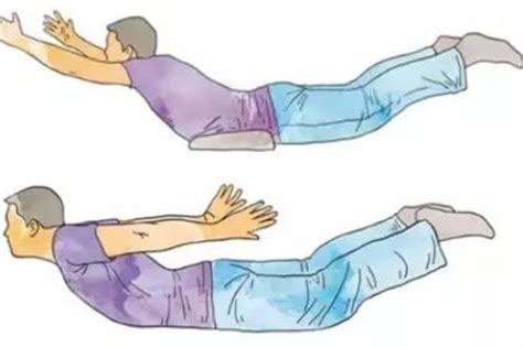 飞燕式锻炼正确图解视频（掌握五个细节，学腰椎正确锻炼姿势！） | 健身吧