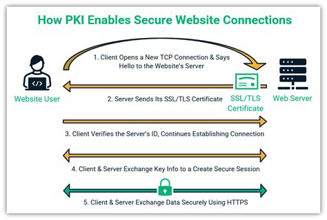 What is PKI Certificate? A Detailed Guide to Know About