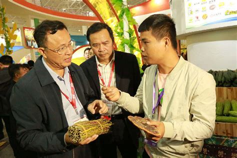宁波建乐东城木业信息化再起航 ，揭开管理变革新篇章