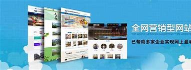 惠州优化型网站建设 的图像结果