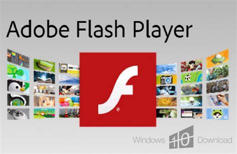 Adobe flash player 10 download 64 bit windows 8
