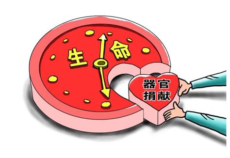 上海市第492例造血干细胞捐献者今捐献成功，“生命种子”将出发前往重庆