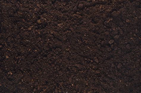 黑色泥土种植手势素材图片免费下载-千库网