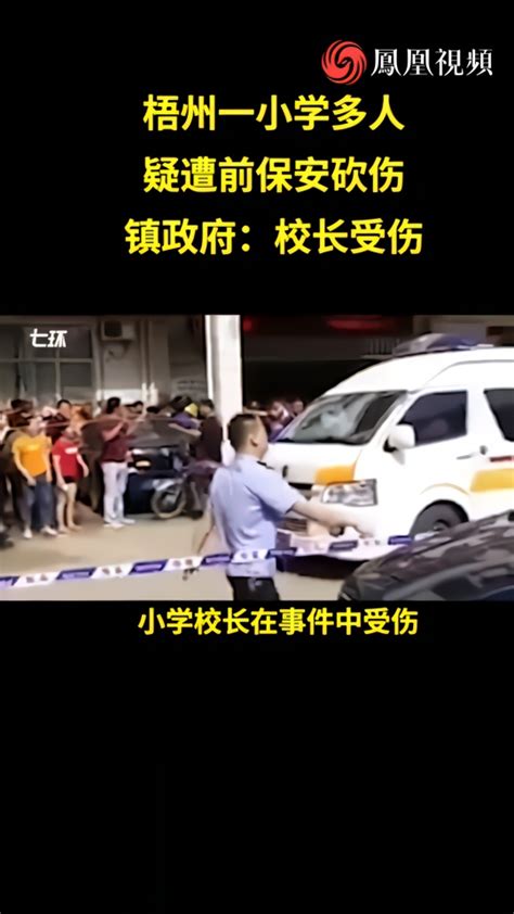 苍梧县一小学多人疑遭前保安砍伤，校长受伤_凤凰网视频_凤凰网